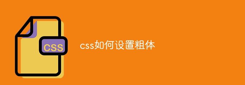 css如何设置粗体