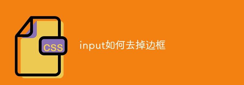 input如何去掉边框