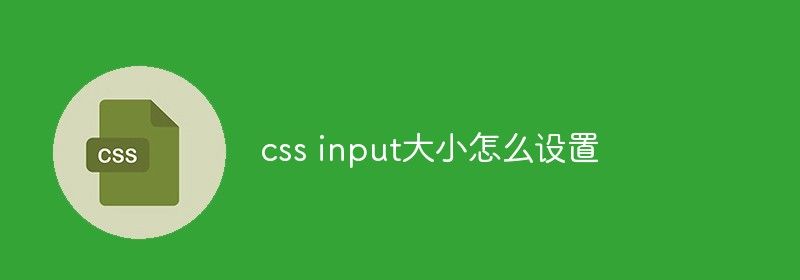 css input大小怎么设置