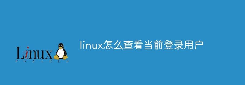 linux怎么查看当前登录用户