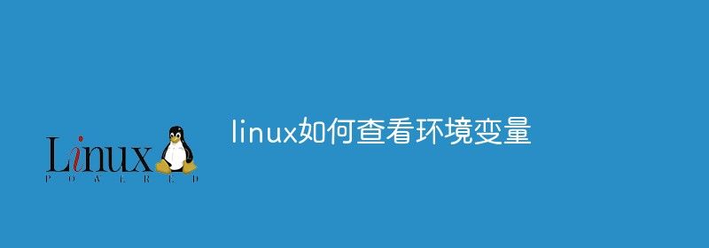 linux如何查看环境变量