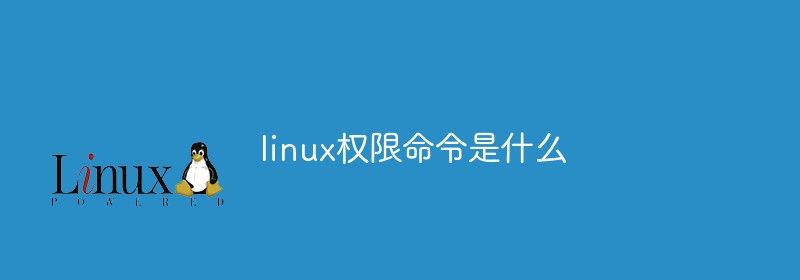 linux权限命令是什么