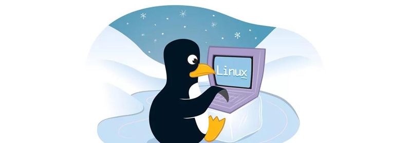 浅析Linux中服务器代码部署篇（分享）