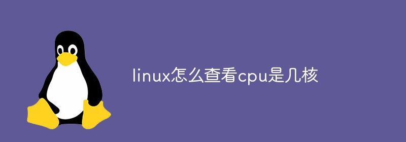 linux怎么查看cpu是几核