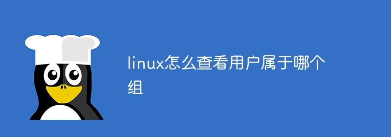 linux怎么查看用户属于哪个组