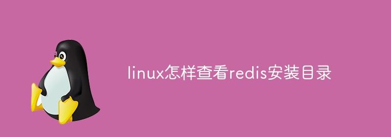 linux怎样查看redis安装目录