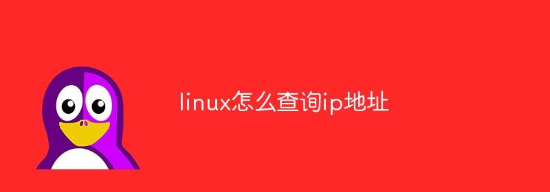 linux怎么查询ip地址