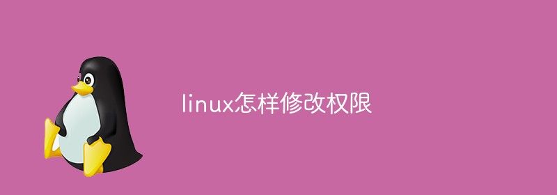 linux怎样修改权限