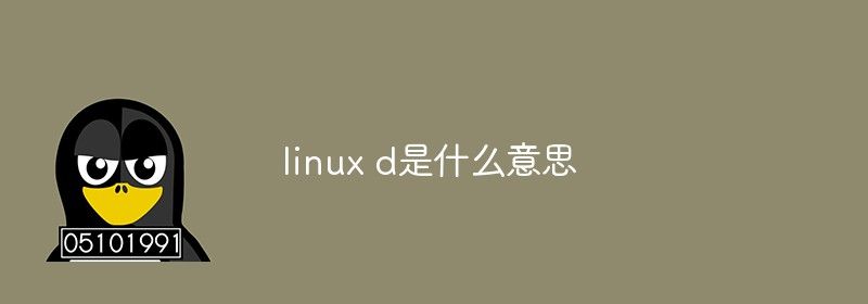 linux d是什么意思