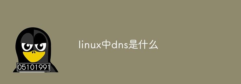 linux中dns是什么