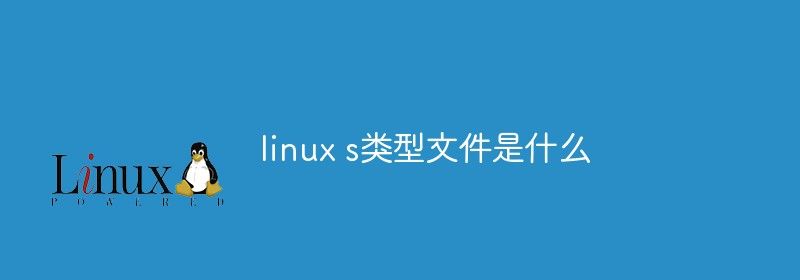 linux s类型文件是什么