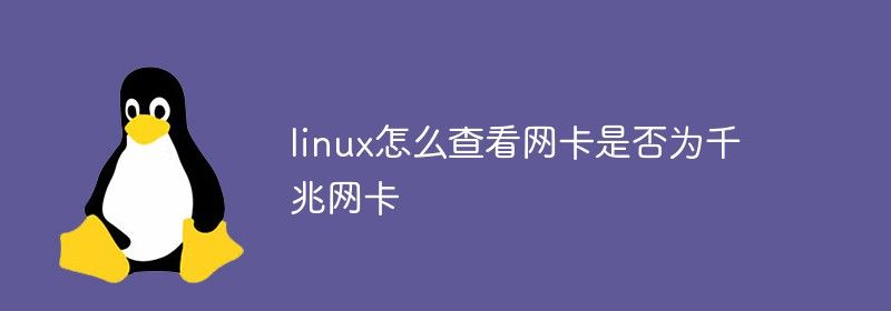 linux怎么查看网卡是否为千兆网卡