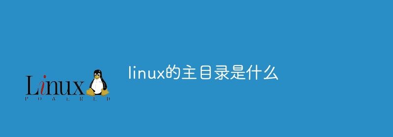 linux的主目录是什么