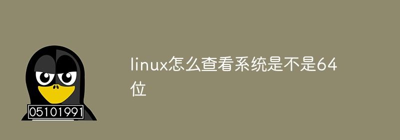 linux怎么查看系统是不是64位