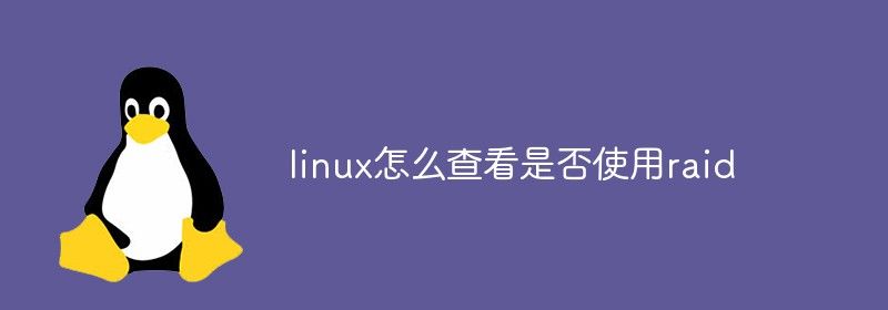 linux怎么查看是否使用raid