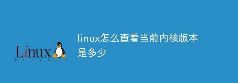 linux怎么查看当前内核版本是多少