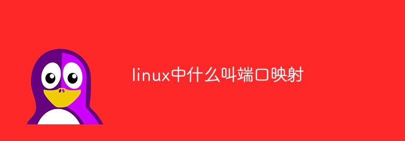 linux中什么叫端口映射