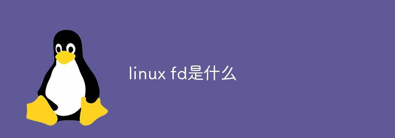 linux fd是什么