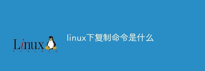 linux下复制命令是什么