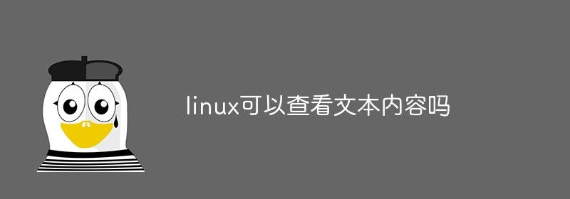 linux可以查看文本内容吗