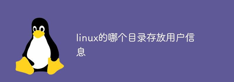 linux的哪个目录存放用户信息