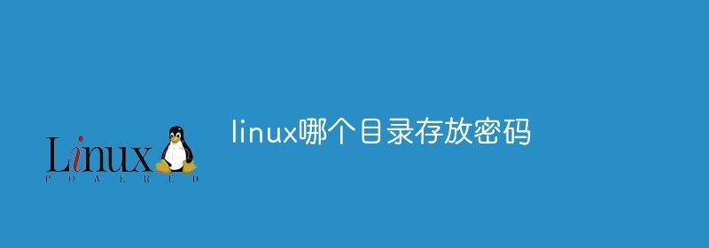 linux哪个目录存放密码