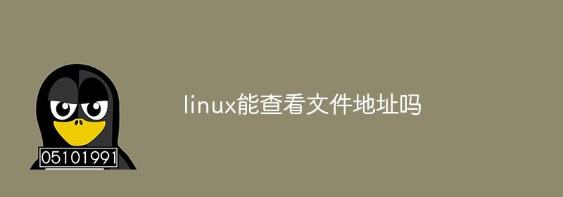 linux能查看文件地址吗