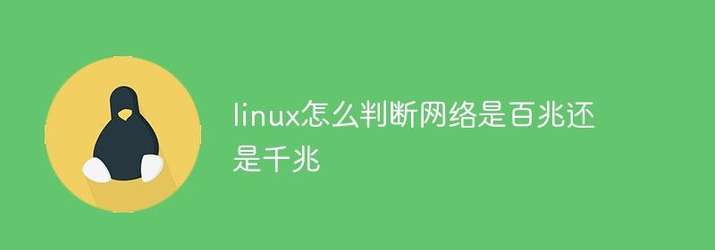 linux怎么判断网络是百兆还是千兆