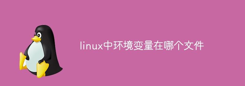 linux中环境变量在哪个文件