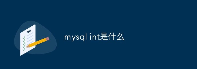 mysql int是什么