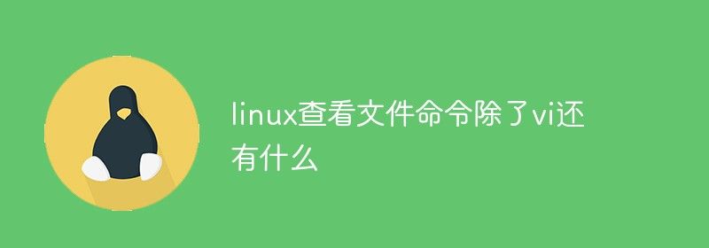 linux查看文件命令除了vi还有什么