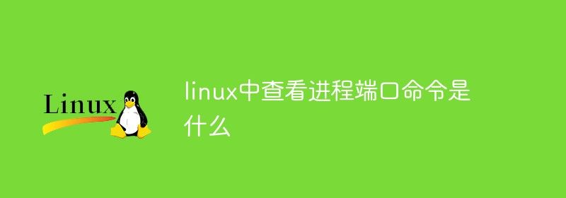 linux中查看进程端口命令是什么