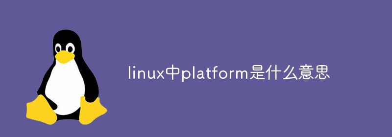 linux中platform是什么意思