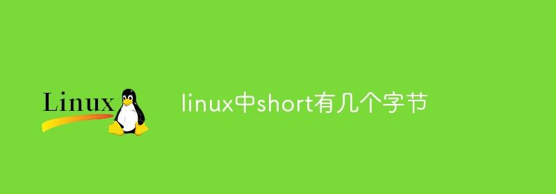 linux中short有几个字节