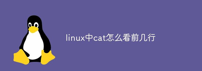 linux中cat怎么看前几行