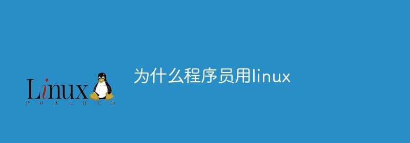 为什么程序员用linux