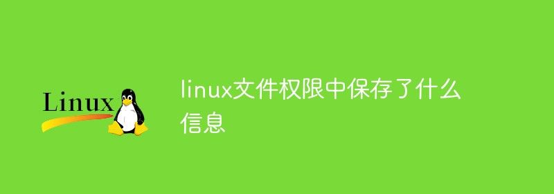 linux文件权限中保存了什么信息