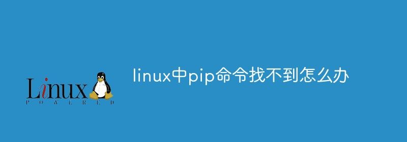 linux中pip命令找不到怎么办