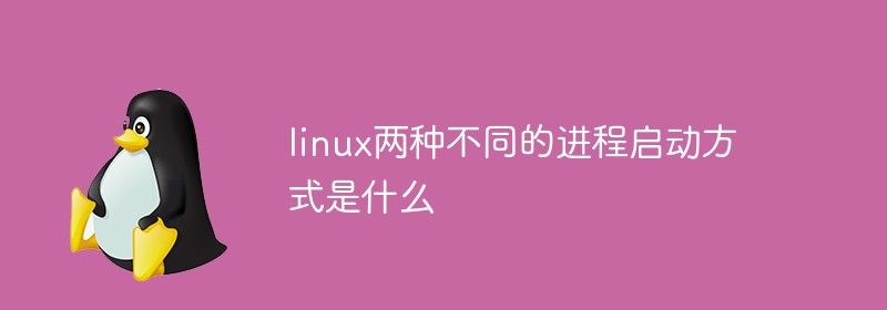 linux两种不同的进程启动方式是什么