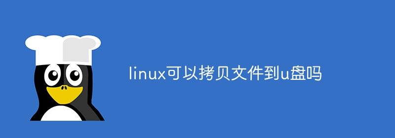 linux可以拷贝文件到u盘吗