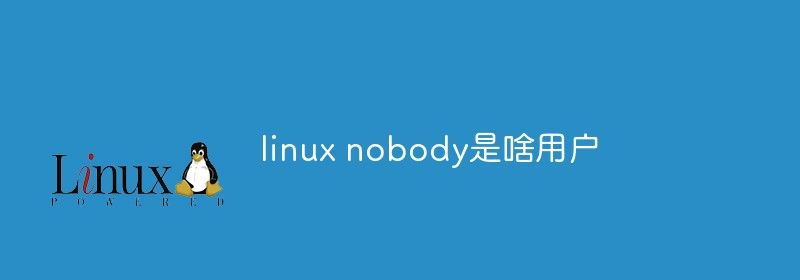 linux nobody是啥用户