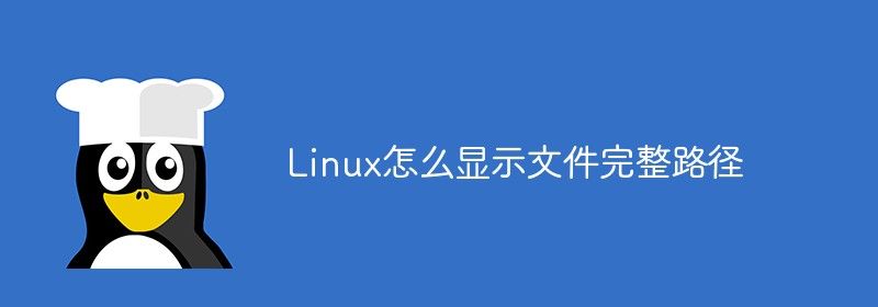 Linux怎么显示文件完整路径