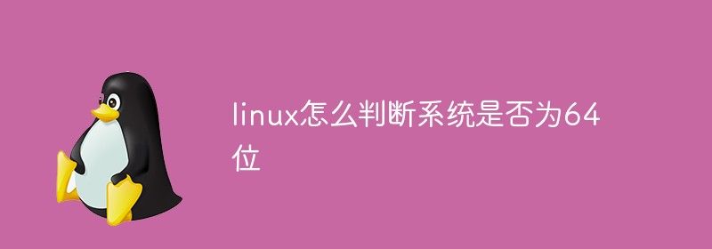 linux怎么判断系统是否为64位