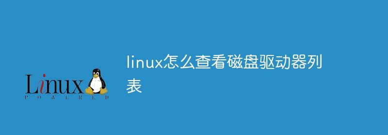 linux怎么查看磁盘驱动器列表