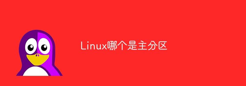 Linux哪个是主分区