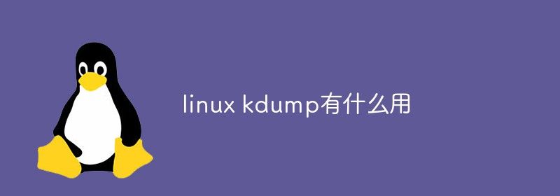 linux kdump有什么用