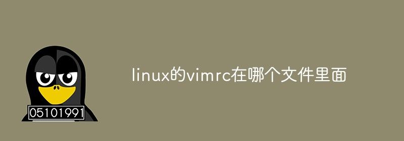 linux的vimrc在哪个文件里面