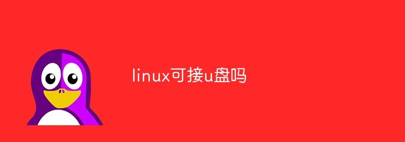 linux可接u盘吗