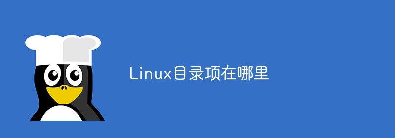 Linux目录项在哪里