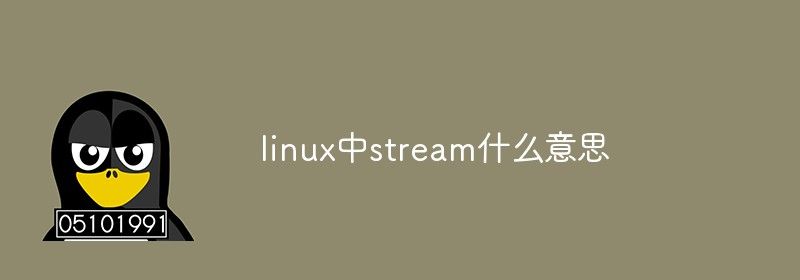 linux中stream什么意思